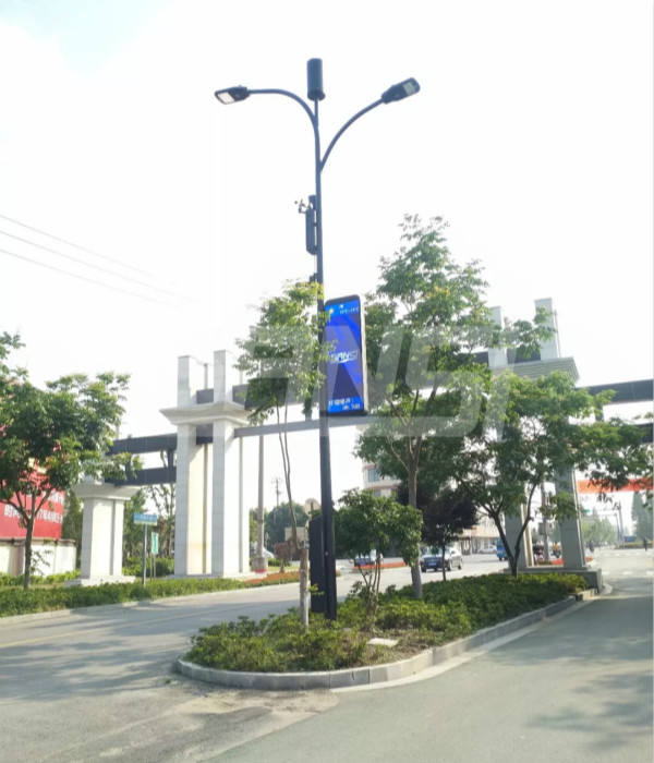 浙江大雲鎮智慧路燈項目