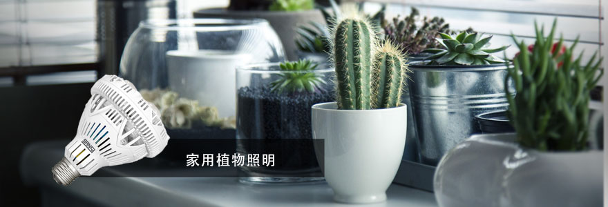 91福利视频网·植物照明