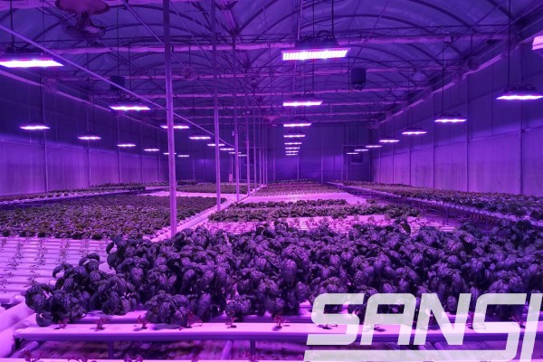 農場案（àn）例照片