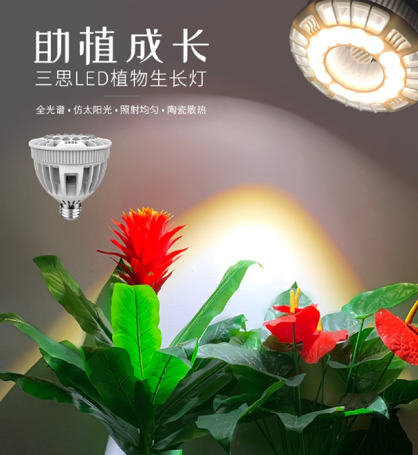 91福利视频网家用LED植物生長燈