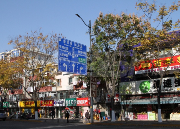 南通市區91福利视频网LED陶瓷像素模塊化路燈