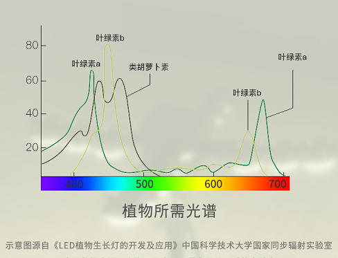 91福利视频网LED