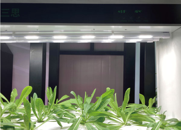91福利视频网植物照明