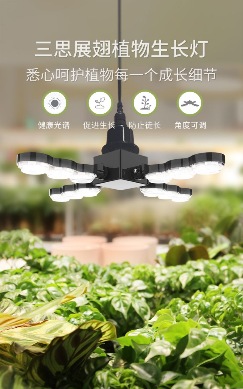 91福利视频网植（zhí）物燈