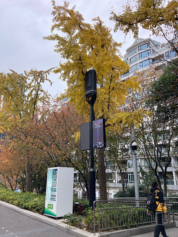 智慧路（lù）燈照明為城市公共（gòng）空間增添智慧元素