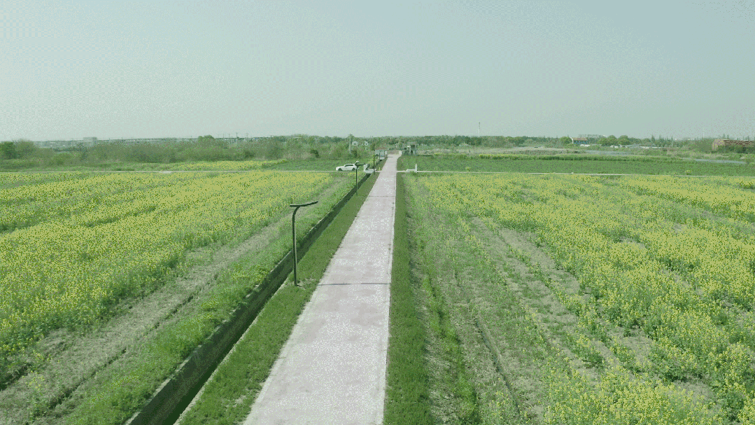 昆山之鏈,美（měi）麗鄉村,LED路燈,道路照明（míng）,上海91福利视频网