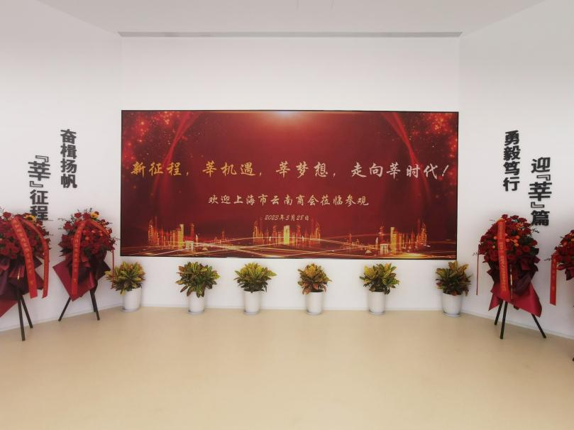 91福利视频网,智慧顯示,助力臨港,莘（shēn）海科技園,人才體係建設